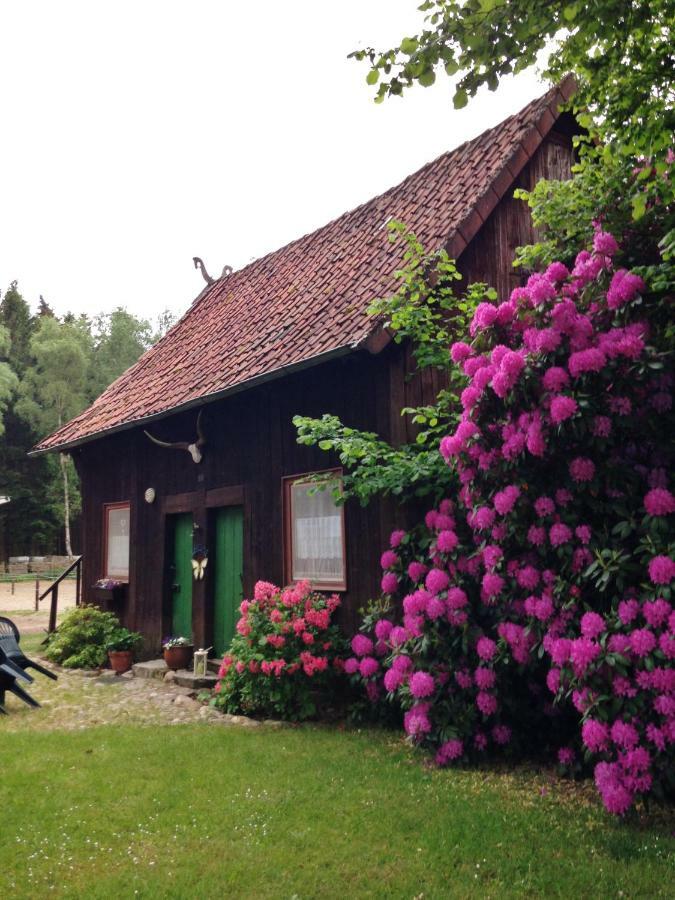 Reiterhof Winandy Villa Wietzendorf Kültér fotó